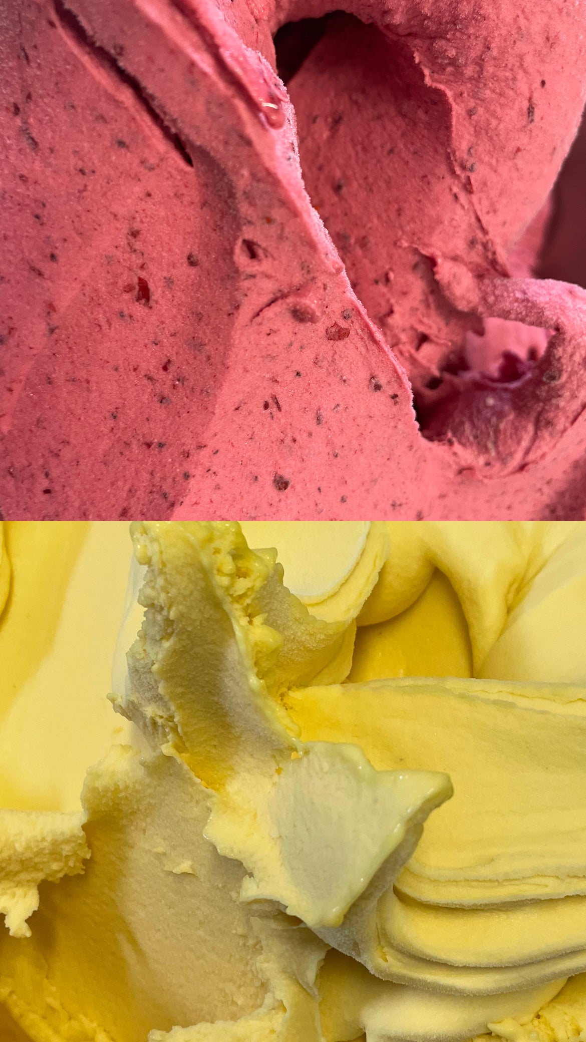 Gelato Fresco